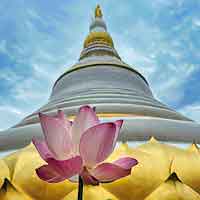 วัดป่าภูผาสูง